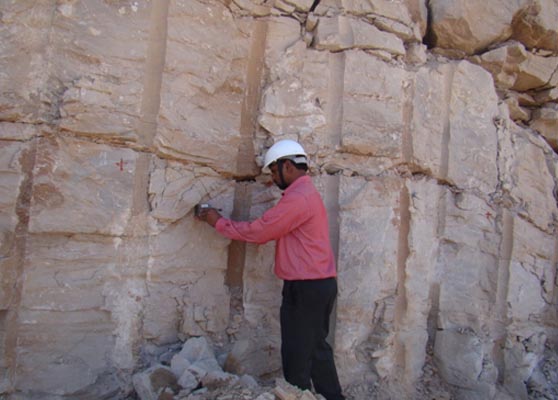 Collection of geological data from vertical wall of Reactor Auxiliary Building of RAPP-7, Rajasthan