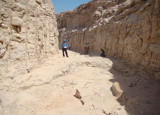 Geological investigations of Nuclear Building foundation of RAPP-7&8, Rajasthan