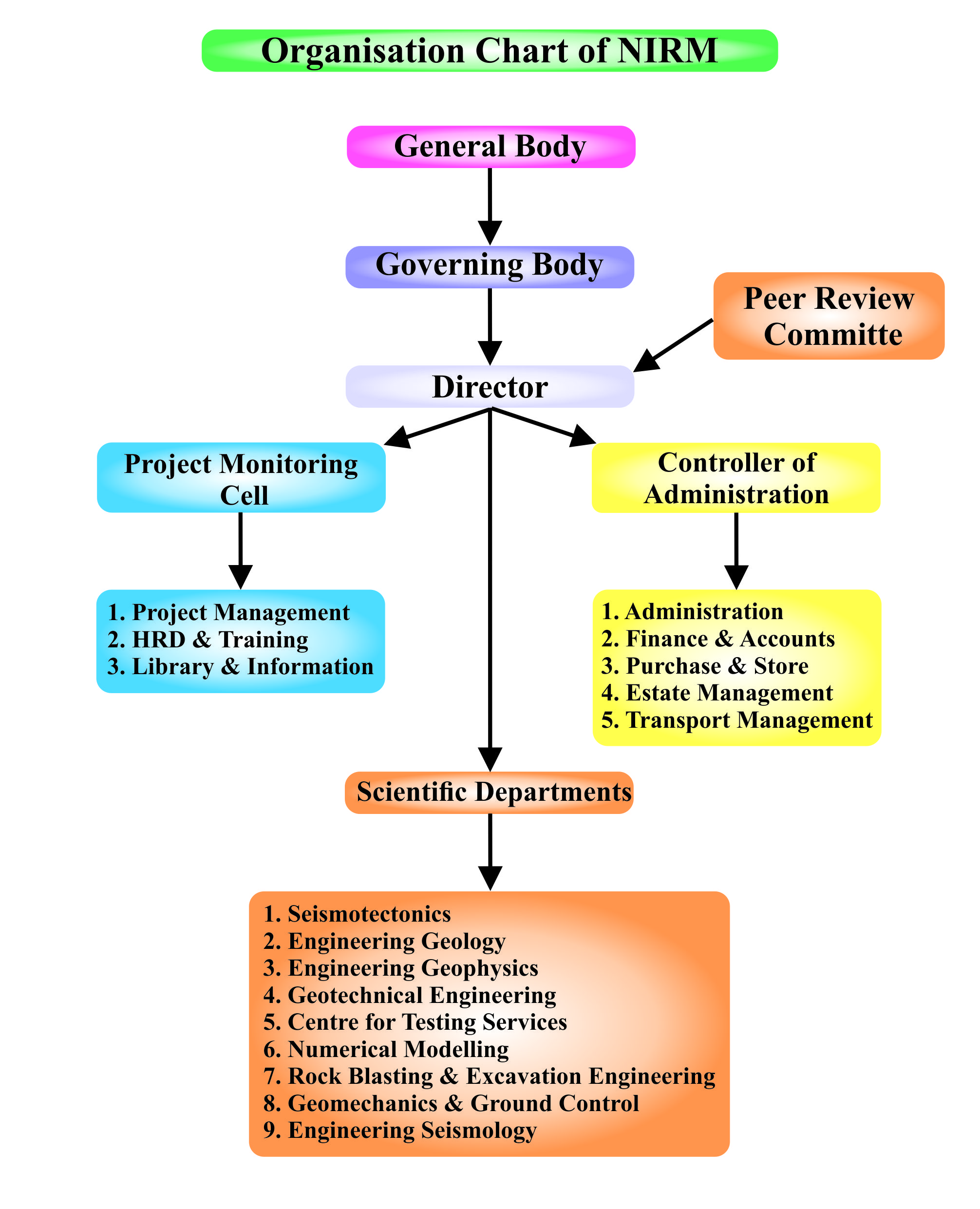 organisational-chart.jpg